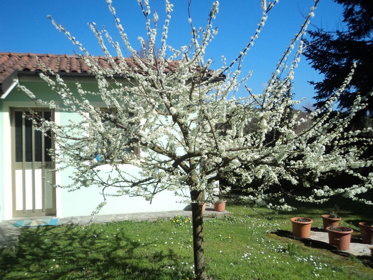 Casa Le Sorelline Guest House San Macario In Piano Exterior photo